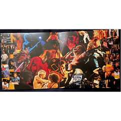 Vinyl Record Guns N Roses - Use Your Illusion I Remastered 2022 LP