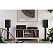 Bookshelf speakers Dali OPTICON 2 MK2 Satin Black - img.4