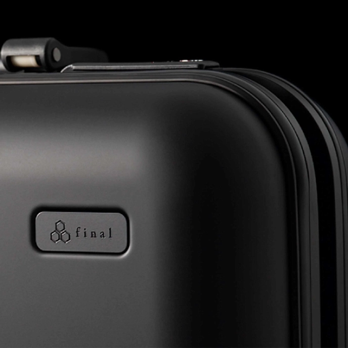 Over-ear headphones Final Audio D8000 Pro Limited Edition Black/Gold - img.9