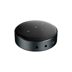 Network Audio Player WiiM Mini