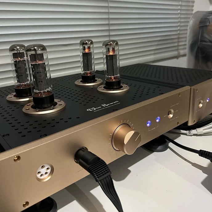 Headphone Amplifier HeadAmp Blue Hawaii Special Edition Satin Champagne - img.3