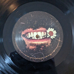 Vinyl Record Hozier - Unreal Unearth 2LP