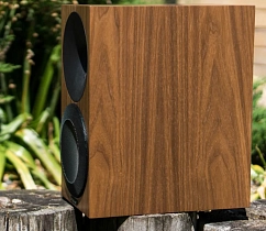 Bookshelf speakers Amphion Argon1 Walnut