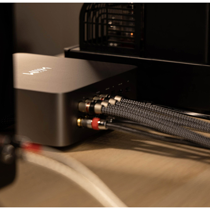 Network Audio Player WiiM Ultra Silver - img.6