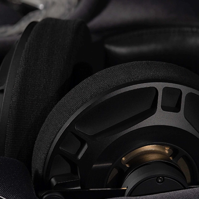 Over-ear headphones Final Audio D8000 Pro Limited Edition Black/Gold - img.4