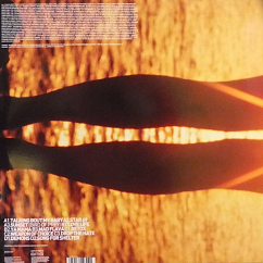 Vinyl Record Fatboy Slim - Halfway Between The Gutter And The Stars - LP