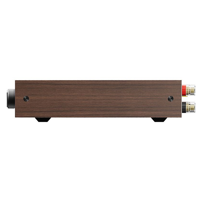 Integrated amplifier FiiO Level 1 Black Walnut - img.3