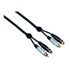 Bespeco EA2X300 2rca-M - 2rca-F 3.0m