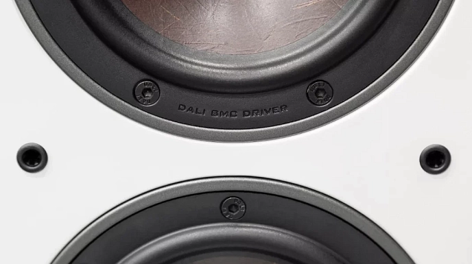 Floorstanding Speakers Dali Oberon 5 Light Oak - img.8