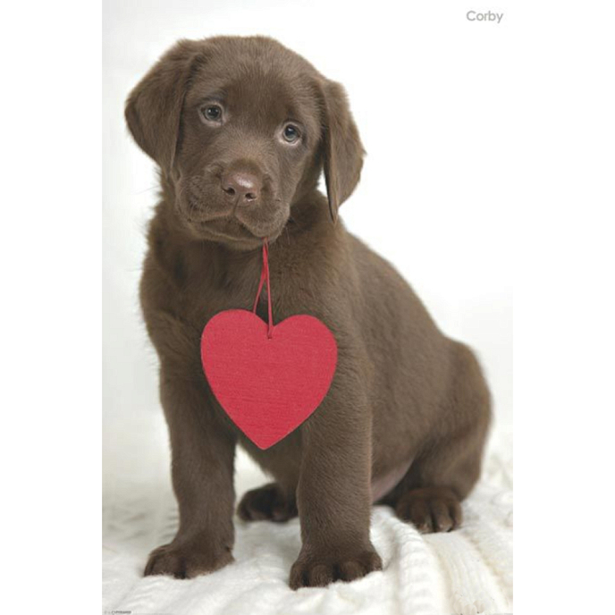 Souvenir Pyramid Rachael Hale Corby (Maxi Poster) 61x91,5cm - img.0