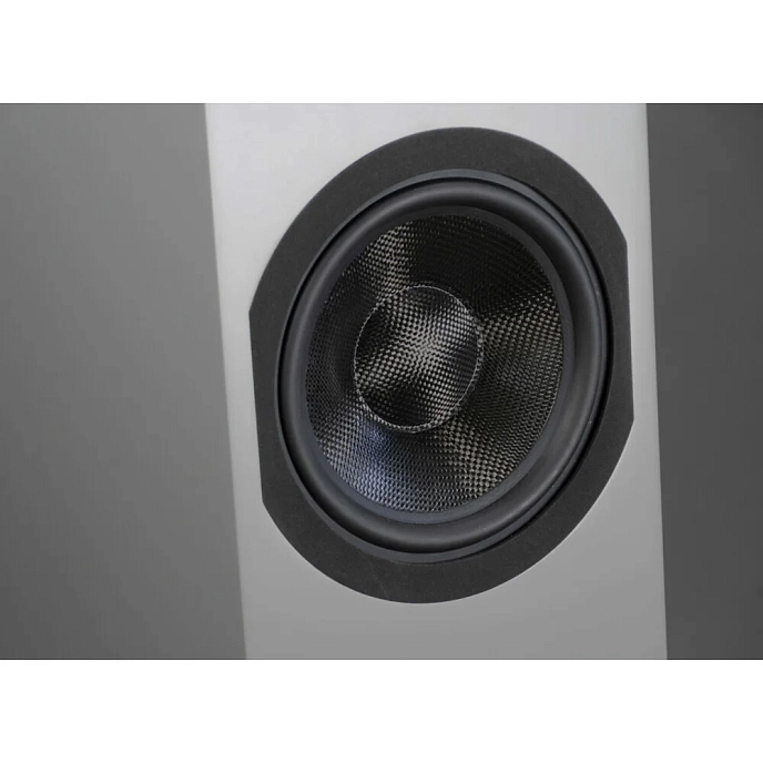 Floorstanding Speakers Davis Acoustics Courbet N 8 Grey Matt - img.11