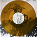 Vinyl Record Avenged Sevenfold – Life Is But A Dream... (Transparent Orange) - 2LP - img.12