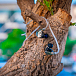 - img.5 In-ear headphones Campfire Audio Astrolith Stainless Steel - img.5