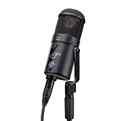 Studio microphone Neumann U47 Fet Bon Scott Edition