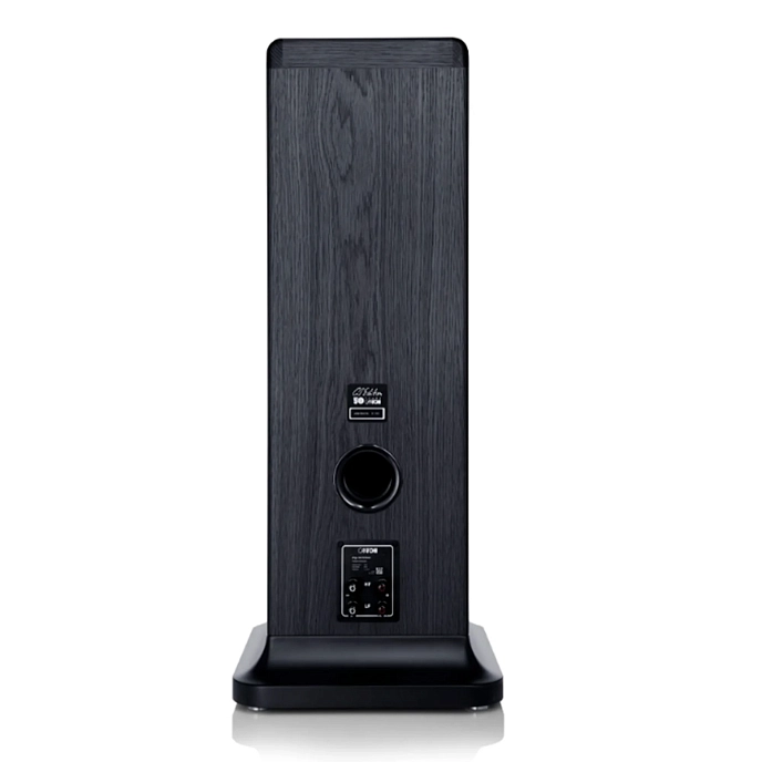 Floorstanding Speakers Canton Ergo GS Black (Pair) - img.3