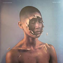 Vinyl Record Manchester Orchestra – The Valley Of Vision - Clear Vinyl - LP