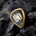 IEMs headphones Nostalgia Audio Pendragon Black Gold - img.1 IEMs headphones Nostalgia Audio Pendragon Black Gold - img.1