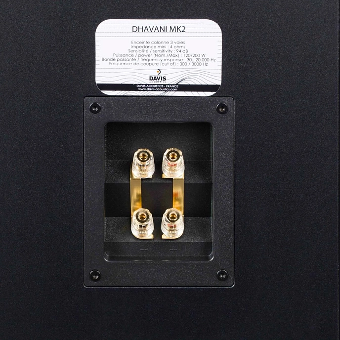 Floorstanding Speakers Davis Acoustics Dhavani MK2 Dark Ebony - img.5