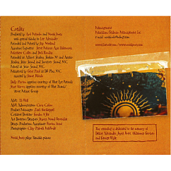 Сassette Tape Norah Jones - Feels Like Home