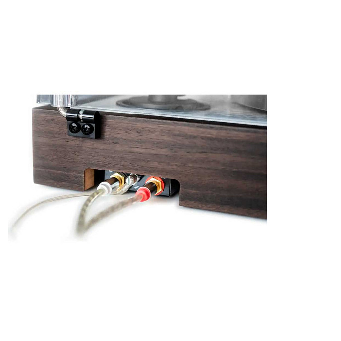 Turntable Pro-Ject The Classic 2M Silver Eucalyptus - img.1