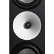 Studio monitor Amphion Two18 Black - img.4