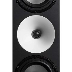 Studio monitor Amphion Two18 Black