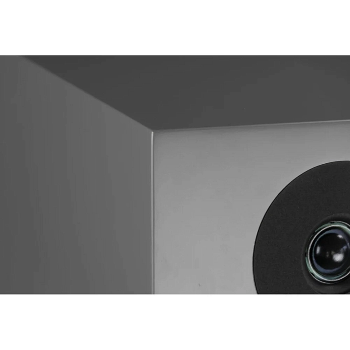 Floorstanding Speakers Davis Acoustics Courbet N 8 Grey Matt - img.8