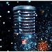 Vocal microphone SE Electronics DynaCaster DCM 8 Black Red - img.12 Vocal microphone SE Electronics DynaCaster DCM 8 Black Red - img.12
