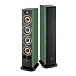 Floorstanding Speakers Focal Aria Evo X N3 Green Moss - img.0