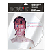 Vinyl Accessory Pyramid David Bowie Aladdin Sane (12 Slipmat) White - img.1 Vinyl Accessory Pyramid David Bowie Aladdin Sane (12 Slipmat) White - img.1