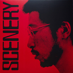 Vinyl Record Ryo Fukui - Scenery LP