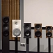 Bookshelf speakers Amphion Argon1 White Black - img.10