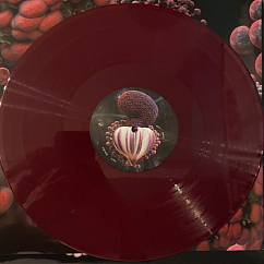 Vinyl Record Bjork – Fossora (Burgundy 2023 (2nd pressing)) - 2LP