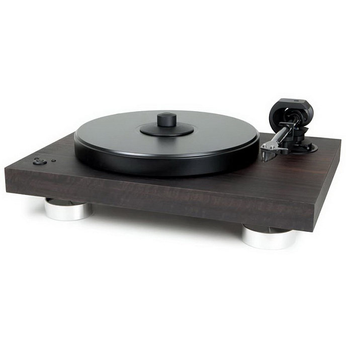 Turntable Pro-Ject 2Xperience SB 2M Silver Eucalyptus - img.1