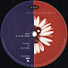 Vinyl Record Dave Matthews Band - Crash (Anniversary Edition) - 2LP - img.3