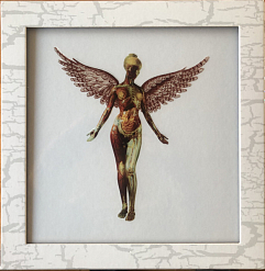 Box set Nirvana – In Utero - Box Set