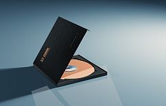 Vinyl Record Various - Stockfisch DMM Dubplate Vol.3 LP