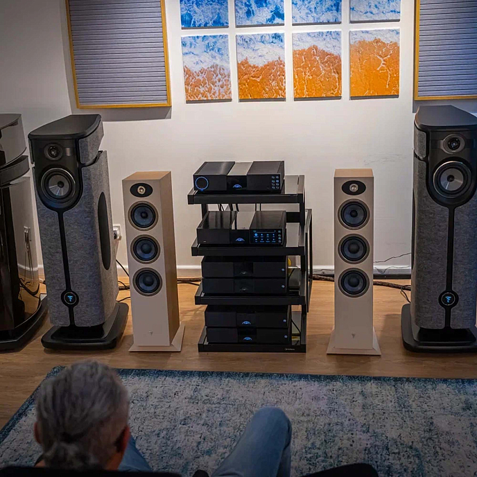 Power Amp Naim NAP 250 New Classic Black - img.3