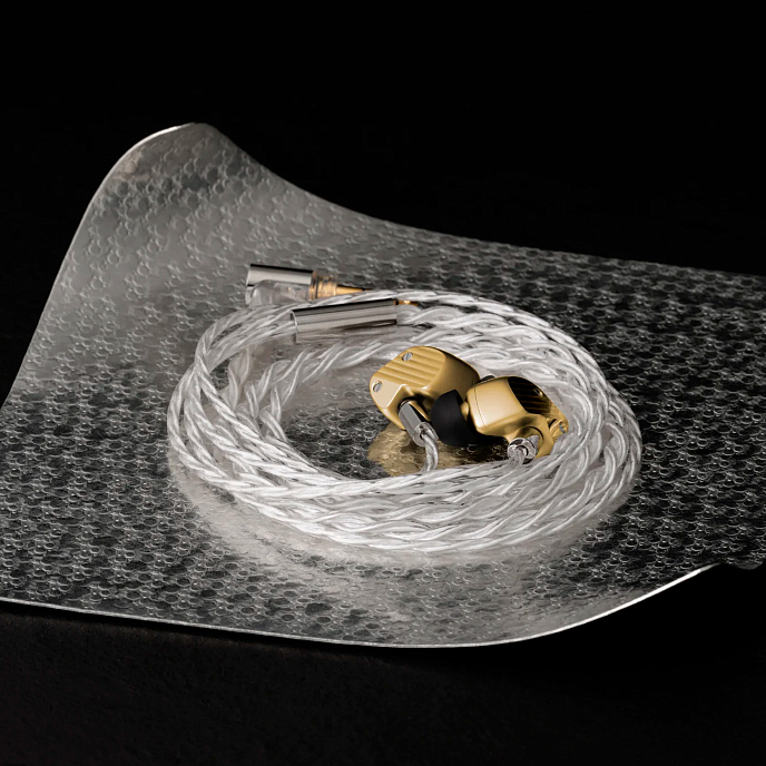 High End headphones Final Audio A10000 Collector’s Edition Gold - img.3