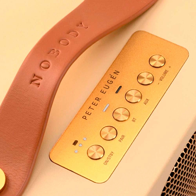 Portable speaker Audio Pro Addon T3+ Peter Eugen - img.3