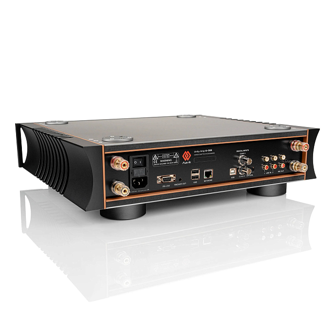 Integrated amplifier Aavik U-588 Black - img.3