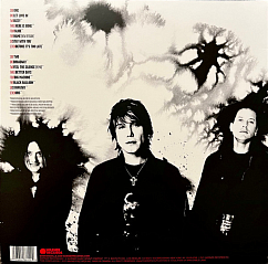 Vinyl Record The Goo Goo Dolls – Greatest Hits Volume One: The Singles - LP