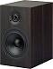 Bookshelf speakers Pro-Ject Speaker Box 5 DS2 Eucalyptus - img.1