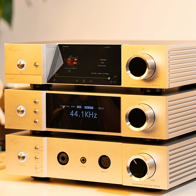 Converter Cayin IDAC-8 Silver - img.7