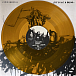 Vinyl Record Avenged Sevenfold – Life Is But A Dream... (Transparent Orange) - 2LP - img.10