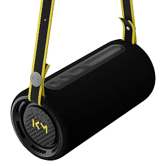 Portable speaker Loewe We. HEAR Pro Black