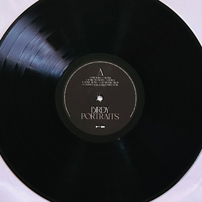 Vinyl Record Birdy - Portraits LP - img.4