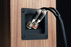 Bookshelf speakers Pro-Ject AC Speaker Box 5 S2 Walnut