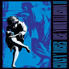 Vinyl Record Guns N' Roses – Use Your Illusion II 2LP