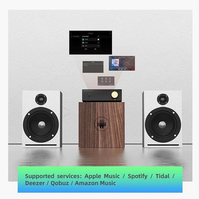 Integrated amplifier Shanling EA5 Plus - img.4